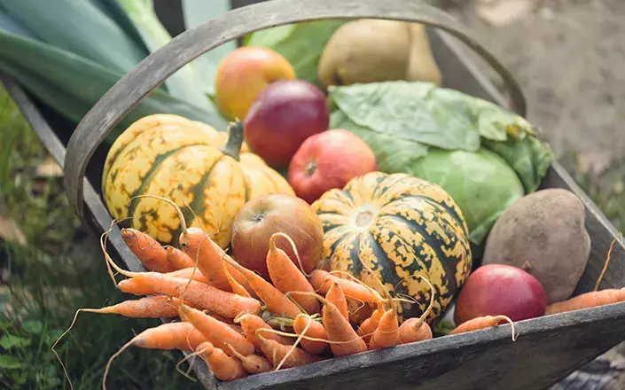 Distribution de paniers solidaires de produits frais